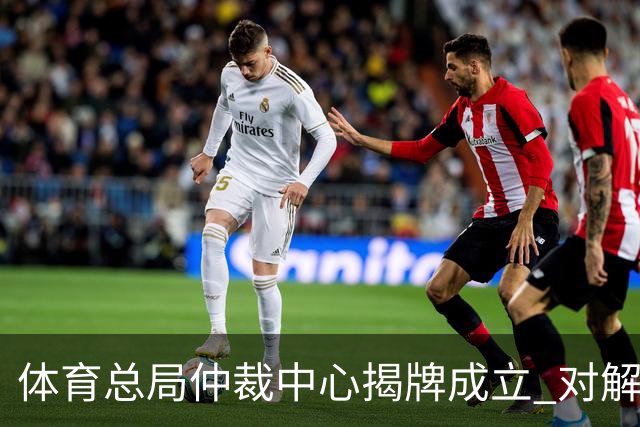 体育总局仲裁中心揭牌成立 对解决足球纠纷有益